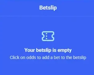 Bet slip panel with stake field and potential return